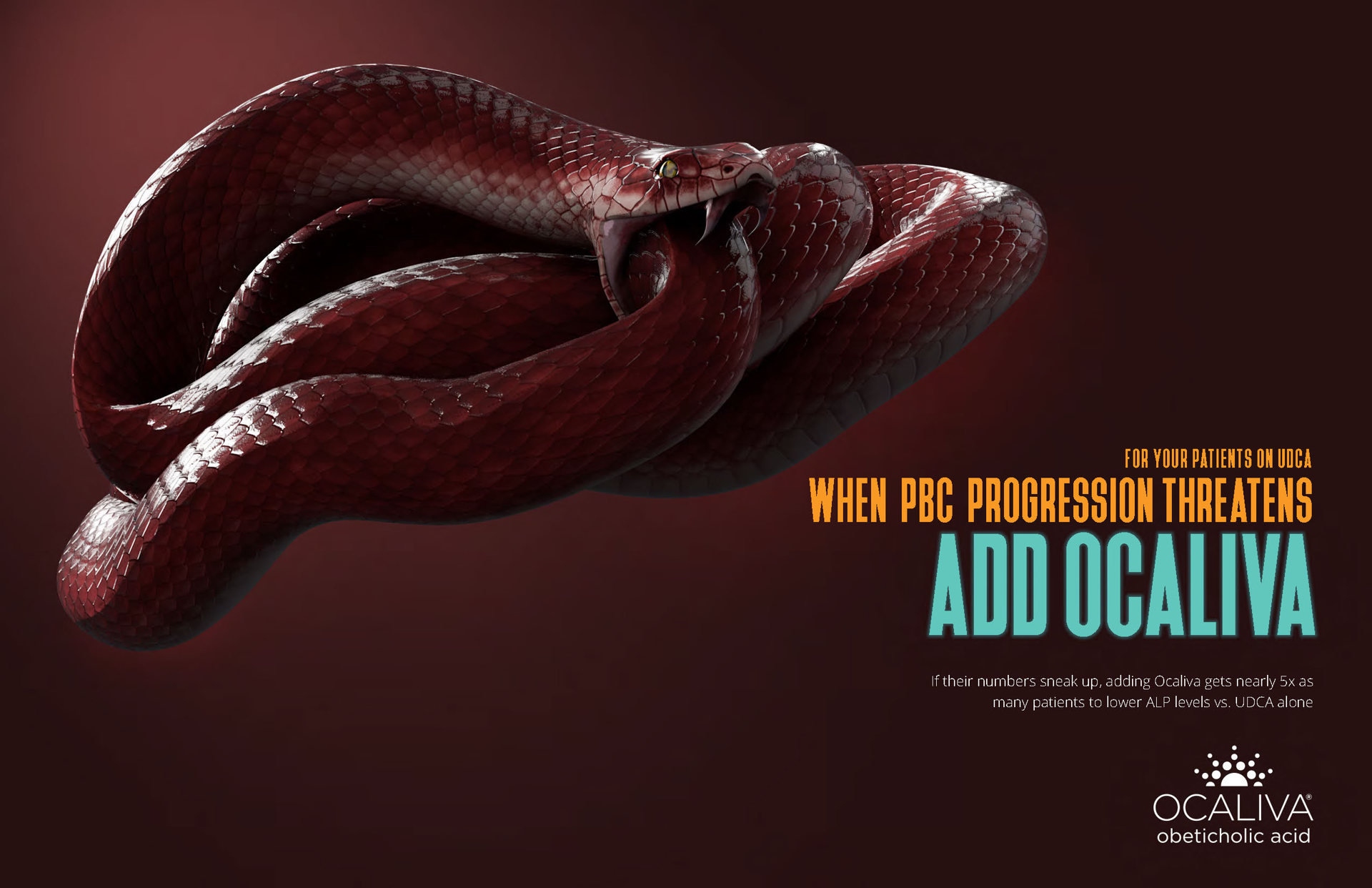 OCALIVA Snake OCALIVA Snake