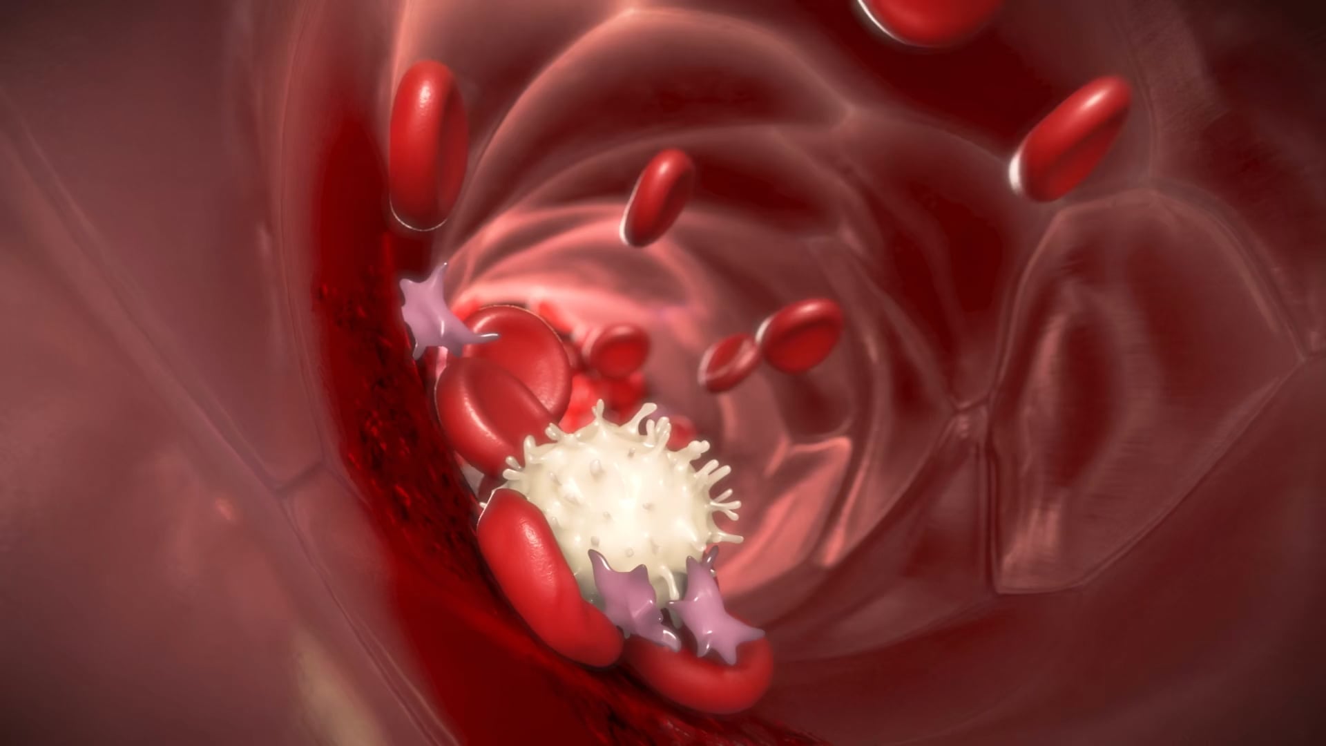 Adakveo Mechanism of Action